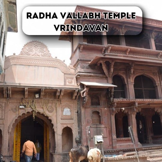 radha vallabh temple vrindavan