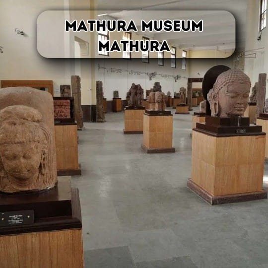 Mathura museum mathura